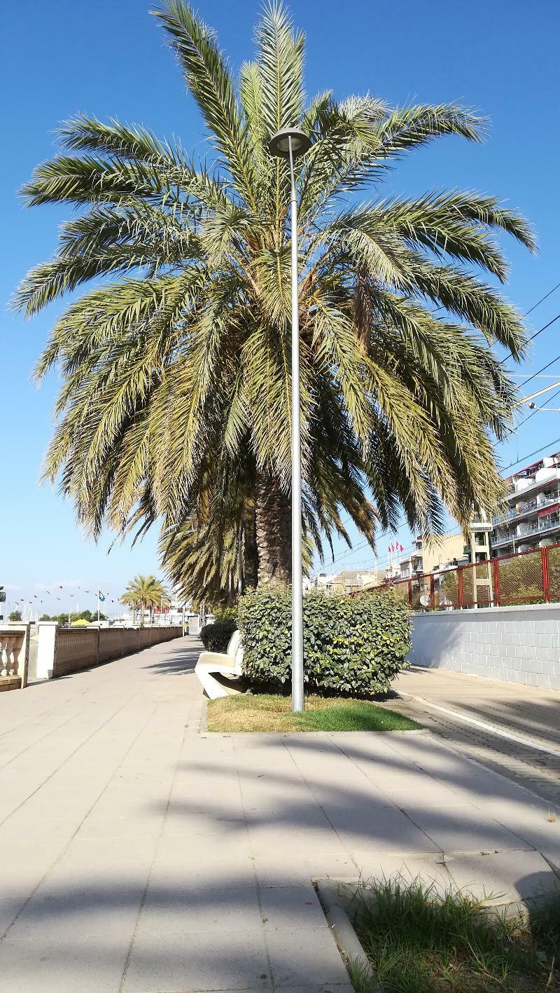 Terrassa De Mar Apartment El El Masnou Exterior foto